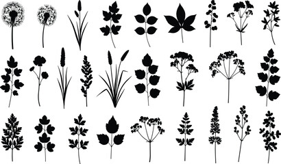 Fototapeta premium Collection of twenty‑four botanical silhouettes featuring plants, flowers, leaves, grasses, and seed heads arranged in rows for nature illustration artwork