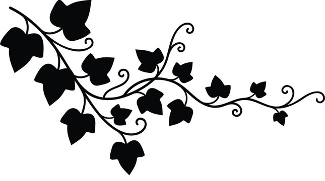 Decorative black silhouette of an elegant ivy vine, ideal as a corner border or a versatile botanical motif, adding a natural flourish to design layouts