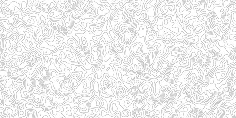 Obraz premium Topographic map contour lines pattern on white background