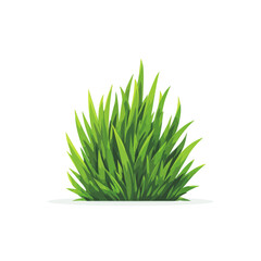 Fototapeta premium A Lush Green Grass Clump Isolated on Transparent Background