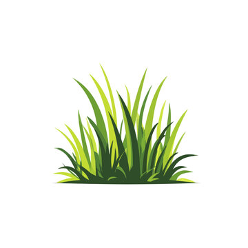 A Lush Clump of Green Grass Isolated