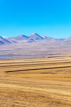 A field of faded, bright brown, yellow grass, plowed in places. Village houses on the lakeshore. Snow-capped mountains, a bright blue sky in the background. Paravani lake, Javakheti, Georgia.