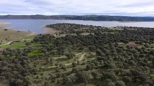 Aerial view of Santa Teresa Reservoir in Salamanca, Spain. Large freshwater reservoir on the Tormes River surrounded by agricultural plains and rolling hills, strategic water resource in Castilla y Le
