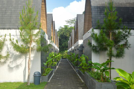 Modern resort villas with triangular roofs and stone walls along a paved path. Tropical landscape with green pine trees and plants under a bright morning sun.