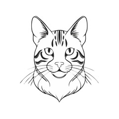Obraz premium Elegant tabby cat face portrait line art illustration simple clean design