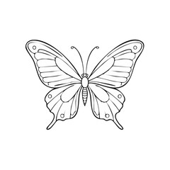 Fototapeta premium Outline drawing of a detailed butterfly with symmetrical wings and antennae