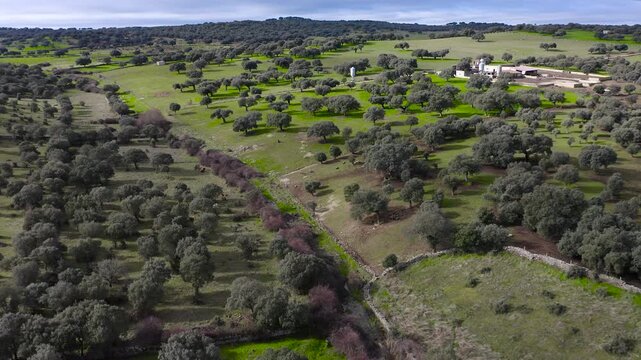 Aerial view of Santa Teresa Reservoir in Salamanca, Spain. Large freshwater reservoir on the Tormes River surrounded by agricultural plains and rolling hills, strategic water resource in Castilla y Le