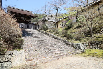 Naklejka premium A Japanese temple: a scene of the access to Bishamon-do Temple at Yamashina Ward in Kyoto City in Japan