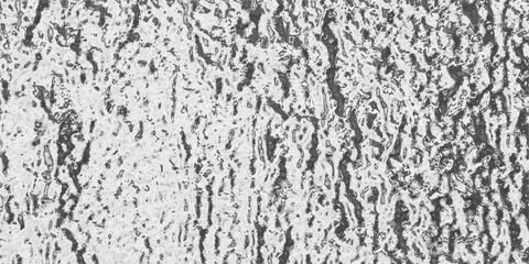 Naklejka premium Detailed grayscale textured surface resembling rough ice or frosted glass with intricate patterns and organic formations for abstract backgrounds