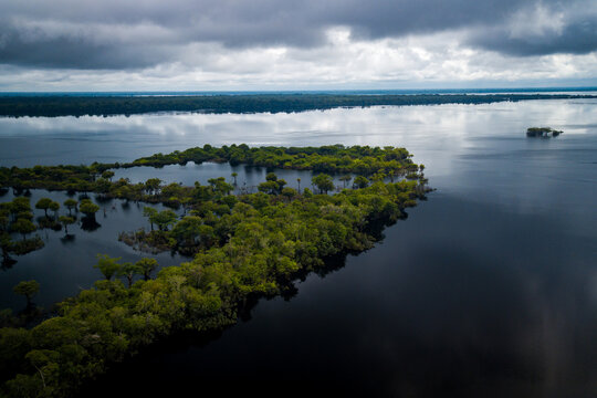Aerial view of the Amazonia rainforest and blackwater river near Novo Air&atilde;o City with flooded trees and lush tropical canopy