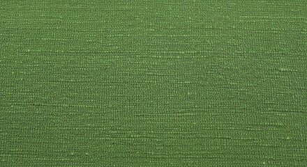 Fototapeta premium Green Textured Fabric Background