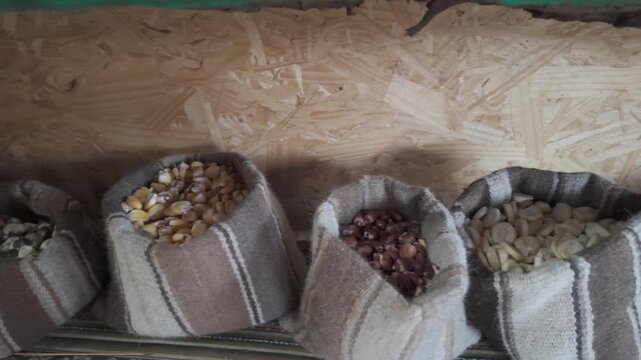 Assorted local grains in burlap sacks at Peruvian market