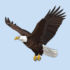 Obraz premium A majestic bald eagle with its wings spread wide, soaring gracefully through a clear blue sky.