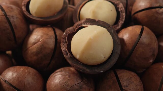 Macadamia nuts on a plate.
