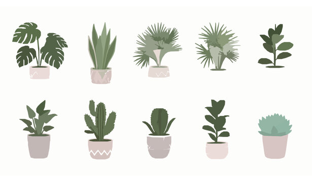 Houseplants in flowerpots vector set with modern indoor plants collection for home decor illustration