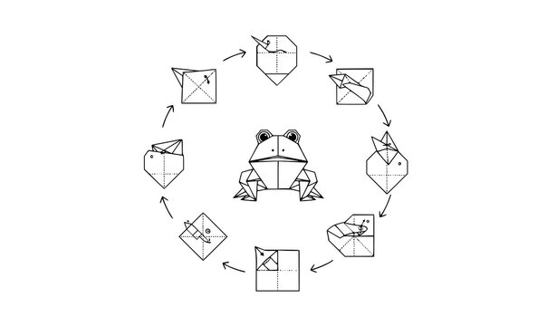Origami frog folding scheme with circular step by step instructions minimal line art vector illustration