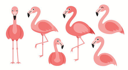 Fototapeta premium Collection of Cute Pink Flamingo Illustrations in Various Poses.