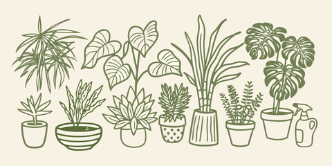 A collection of illustrated tropical houseplants in decorative pots © Piku