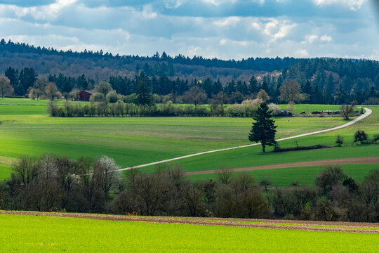 B&auml;ume im feld im fr&uuml;hjahr