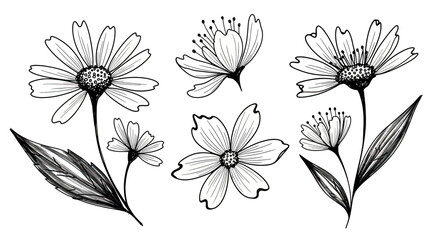 Fototapeta premium Hand Drawn Sketch of Various Delicate Flowers and Leaves.
