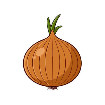 Hand drawn illustration of a single whole brown onion with green sprouts and rootlets
