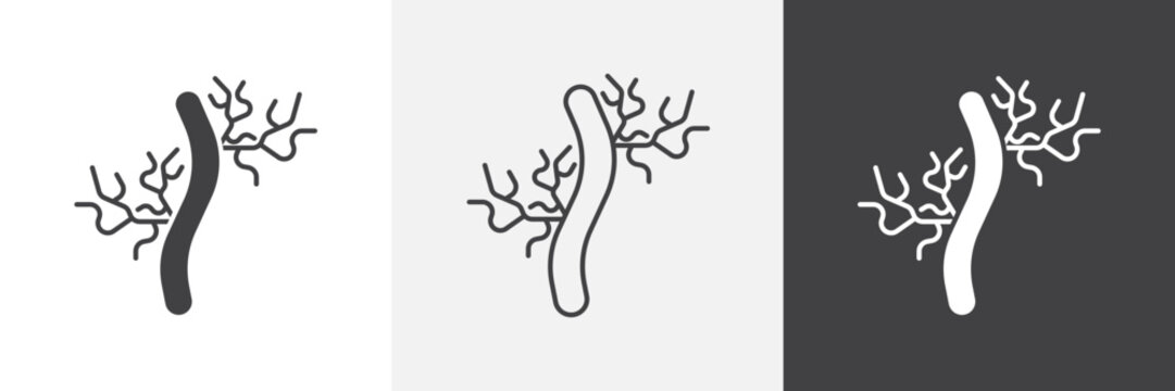 Human artery icon element for design projects and web designs