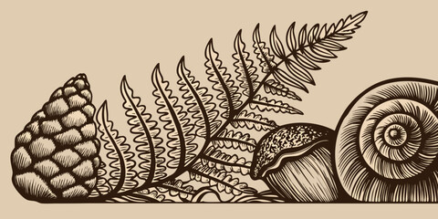 Detailed botanical illustration featuring a snail pinecone and ferns © Rakesh