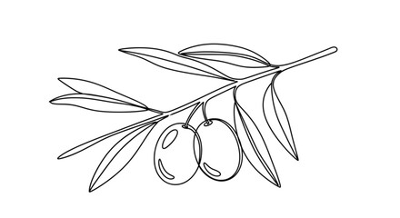 High Quality Black Continuous Line Olive Branch with Fruit – Minimal Botanical Peace Symbol Illustration © Deshan