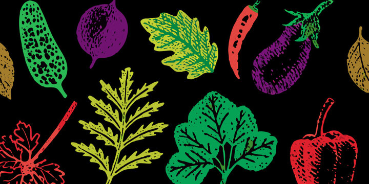 Colorful sketch of various vegetables and leafy greens on black