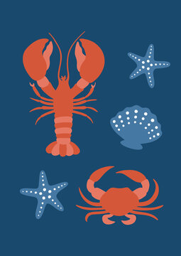 Nautical Coastal Poster with Lobster Crab Starfish Seashell Flat Design Vector Illustration