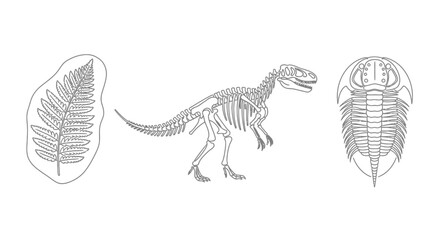 Dinosaur skeleton and plant fossils. © Yasmin