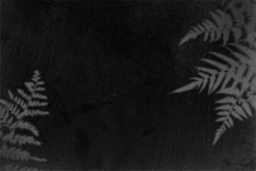 Moody black and white image of ferns in darkness, suitable for nature magazines, book covers, or website backgrounds. © Sawah Maya