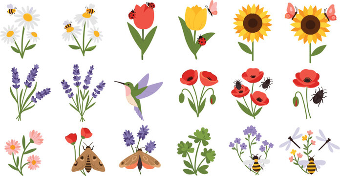 Set of Colorful Garden Flowers with Bees, Butterflies, Ladybugs, and Pollinators Including Sunflower, Tulip, Lavender, and Poppy Illustrations