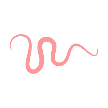 Tapeworm Cartoon Illustration in Flat Vector Style, Parasite Worm for Medical, Biology and Educational Design