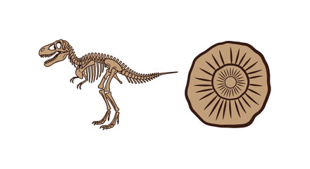 Obraz premium Dinosaur skeleton standing next to fossil.
