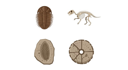 Trilobite fossils and dinosaur illustration. © nurulaan