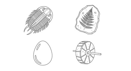 Trilobite fossils in different views. © nurulaan
