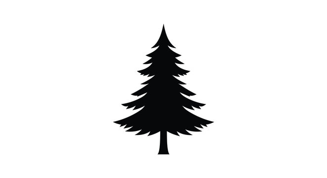 A stark black silhouette of a coniferous evergreen tree stands prominently against a bright white background silhouette
