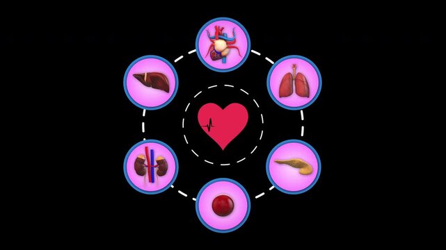 Human Organs Medical Innovation Digital Icon Concept