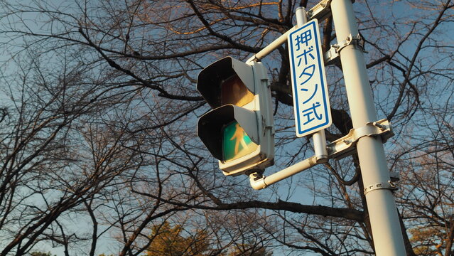 인생이 늘 녹색불 이었으면 좋겠다.