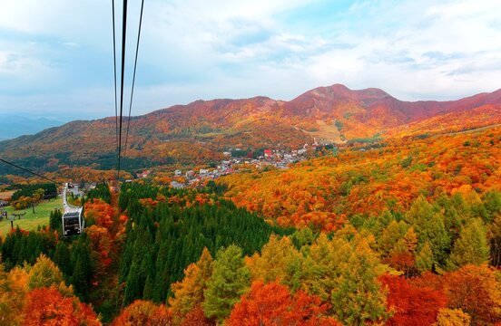 Aerial view of a scenic cable car flying over the beautiful autumn valley of Zao, a famous resort for skiing and Onsen ( hot springs) in Yamagata, Japan, with brilliant fall colors on the mountainside