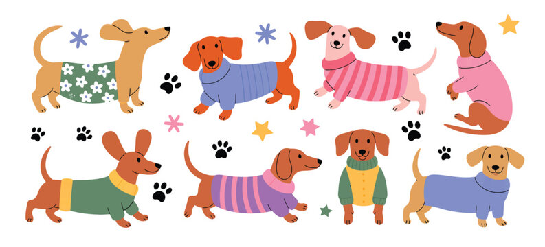 Cartoon dachshund dress-up collection, adorable dogs in various outfits including funny sweaters and jackets, colorful flat illustrations ideal for pet apps, stickers, and children&rsquo;s designs.