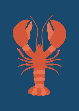 Marine Life Poster with Lobster Flat Design