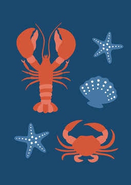 Marine Life Poster with Lobster Crab Starfish Seashell Flat Design