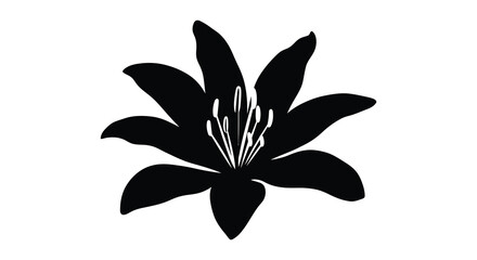 A striking black floral design showcases a fully bloomed lily with elegant curves presented as a silhouette © Komla02