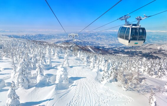 A scenic cable car flying over a piste in Zao hot spring and ski resort, with Juhyo forest (ice trees or snow monsters) all over the slope under blue clear sky on a sunny winter day in Yamagata, Japan