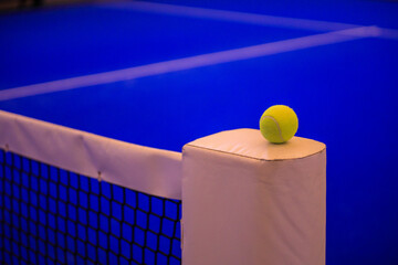 Background for padel event advertisement. Padel court. Open tour poster for social media promotion.