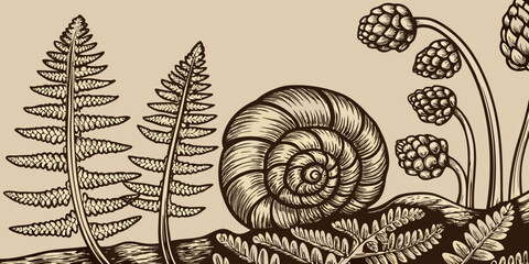 Detailed engraving of ferns a snail shell and various plant life © Nripen