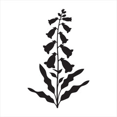 A black silhouette of a foxglove plant flat vector art Silhouette image of a Foxglove flower stem vector isolated illustration © Jabed