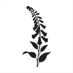 A black silhouette of a foxglove plant flat vector art Silhouette image of a Foxglove flower stem vector isolated illustration © Jabed